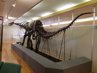 Amargasaurus cazaui 002