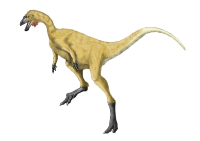 Limusaurus inextricabilis 001