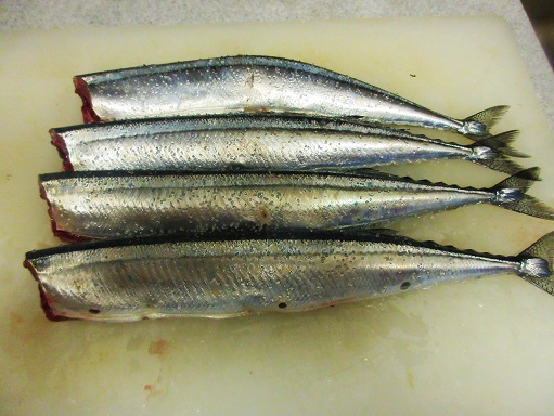 160924-211秋刀魚塩(S)