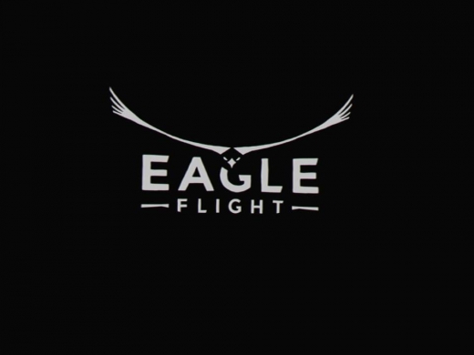 Eagle Flight_20161109225500