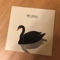 鳥ジャケ　Black Swan