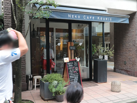 Neko Cafe Keurig 猫カフェ キューリグ 大名店 Tomo Sana Gourmet Diary