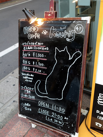 Neko Cafe Keurig 猫カフェ キューリグ The Loft 天神店 Tomo Sana Gourmet Diary
