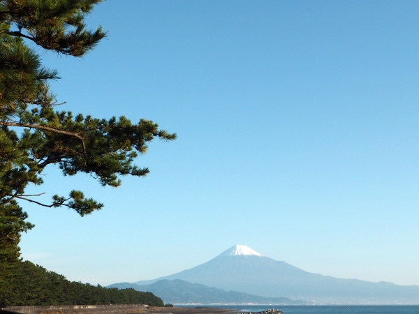 富士山と三保の松原_20161120
