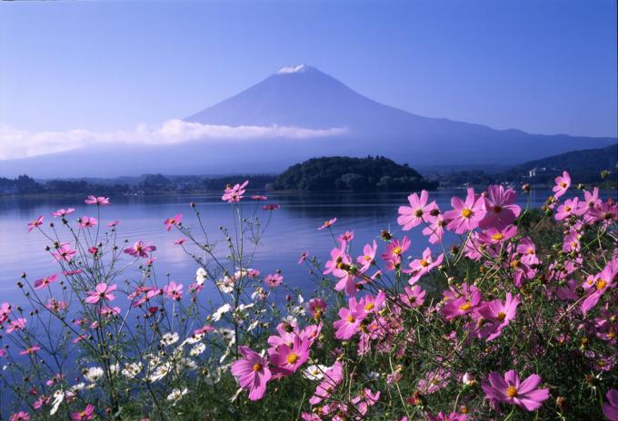 20160923 富士山とコスモス