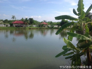 โรงแรมขวัญเรือนฟิชชิ่งรีสอร์ท(Kwanruen Fishing Resort)
