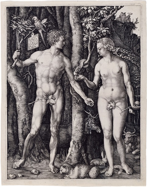 アルブレヒト・デューラー『Adam and Eve』 1504