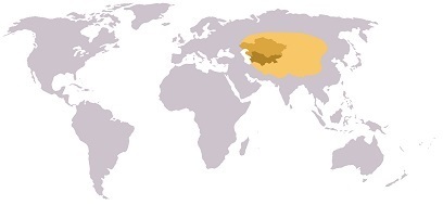 中央アジアの位置
