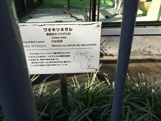 東山動物園