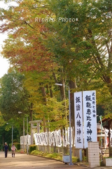 2018年10月諏訪八幡神社の秋