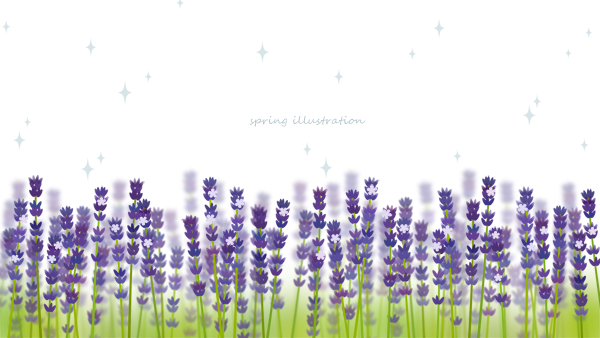 【ラベンダー】初夏の花のイラストPC壁紙・背景